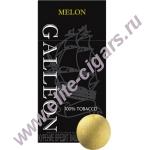 .-0386    Galleon Melon